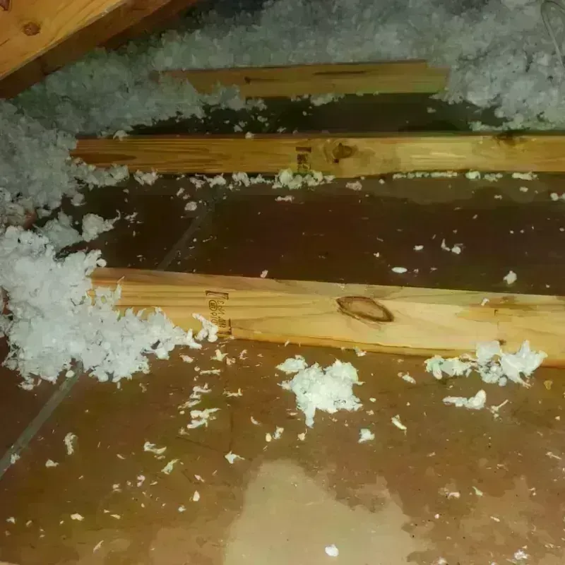 Attic Water Damage in Earlham, IA